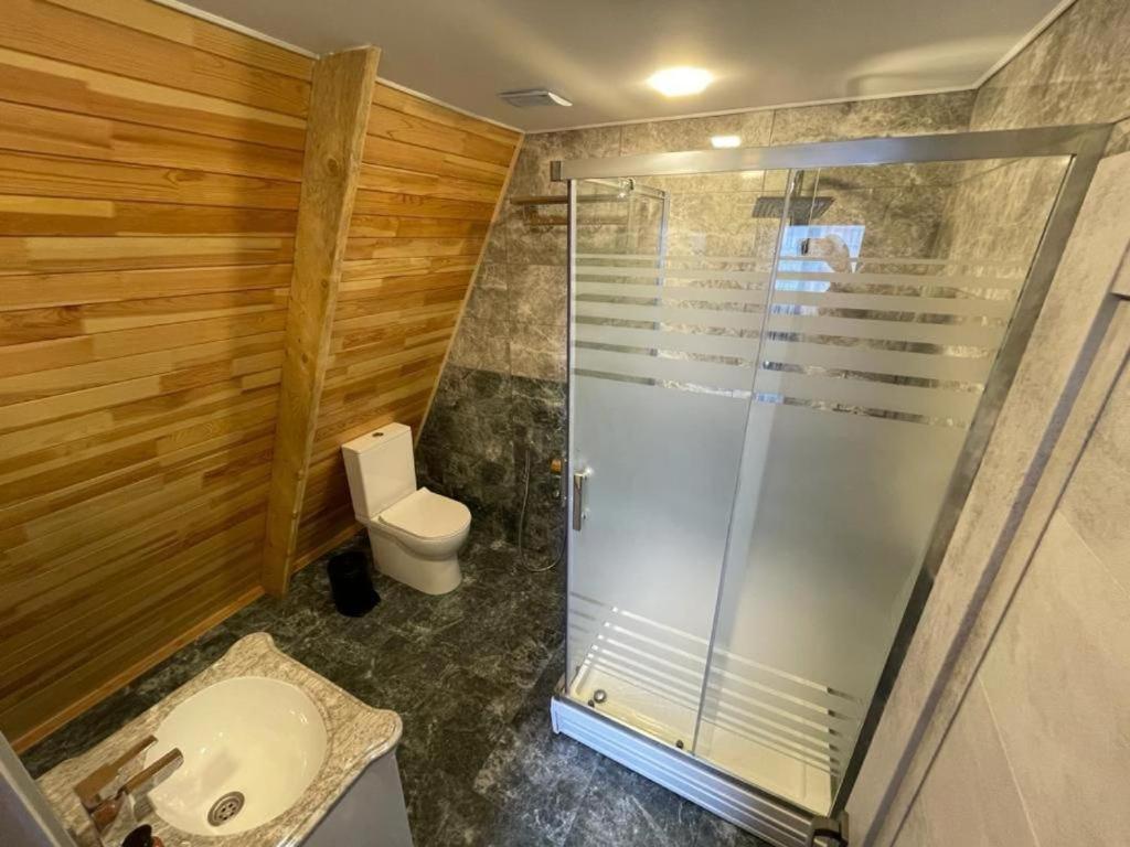 Qafqaz Wood Chalet ガバラ エクステリア 写真