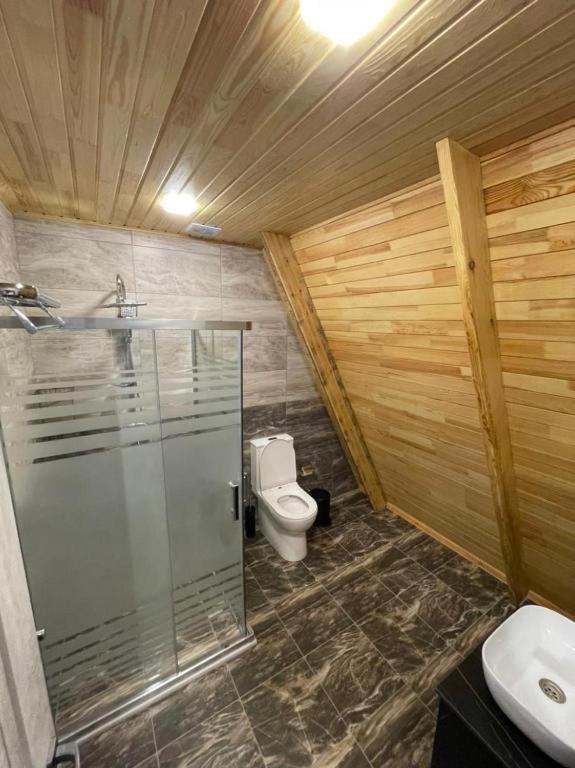 Qafqaz Wood Chalet ガバラ エクステリア 写真