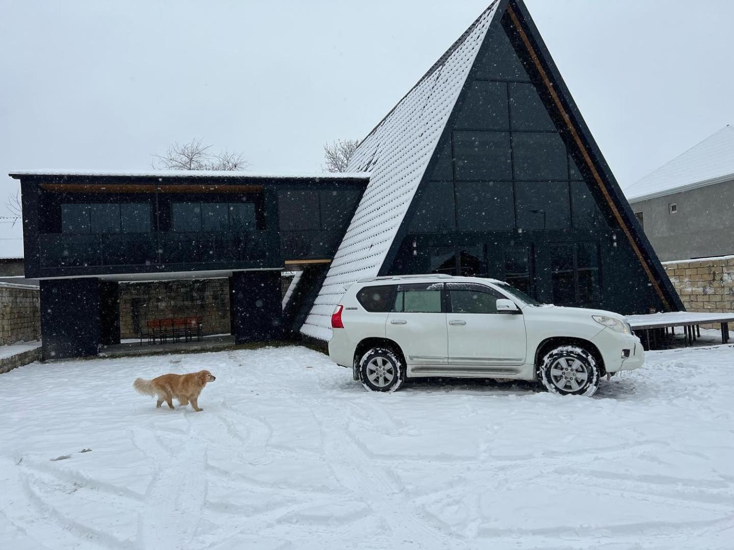 Qafqaz Wood Chalet ガバラ エクステリア 写真